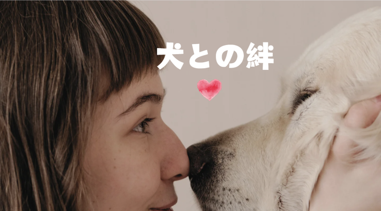 カワイイがいっぱい！ワンダーランド